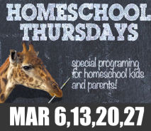 Homeschool Thursdays