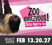 Zoo Rendezvous