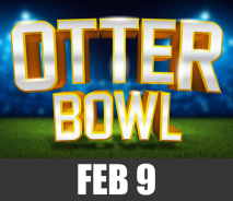 Otter Bowl