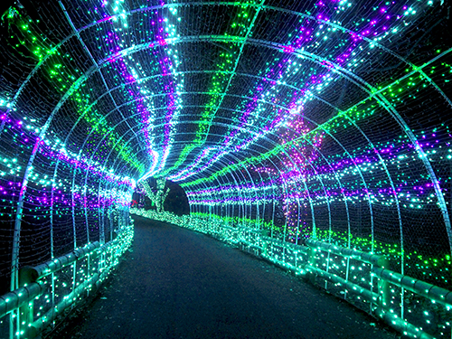 Winter Light Spectacular - Lehigh Valley Zoo