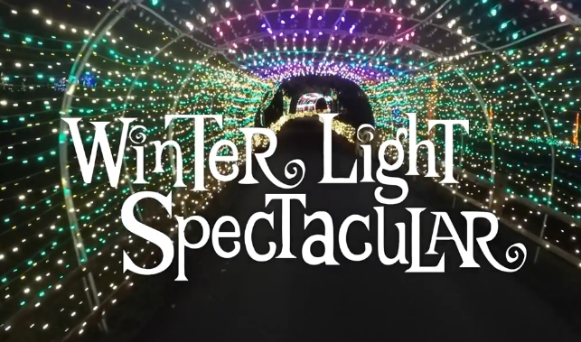 New England Zoo to Ring in Holiday Season With Lights Spectacular